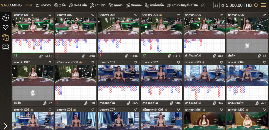 บาคาร่าทุนน้อย wallet